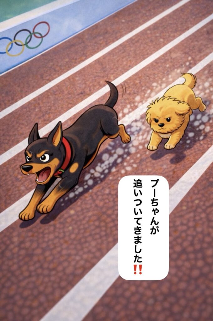 まるぷー漫画4